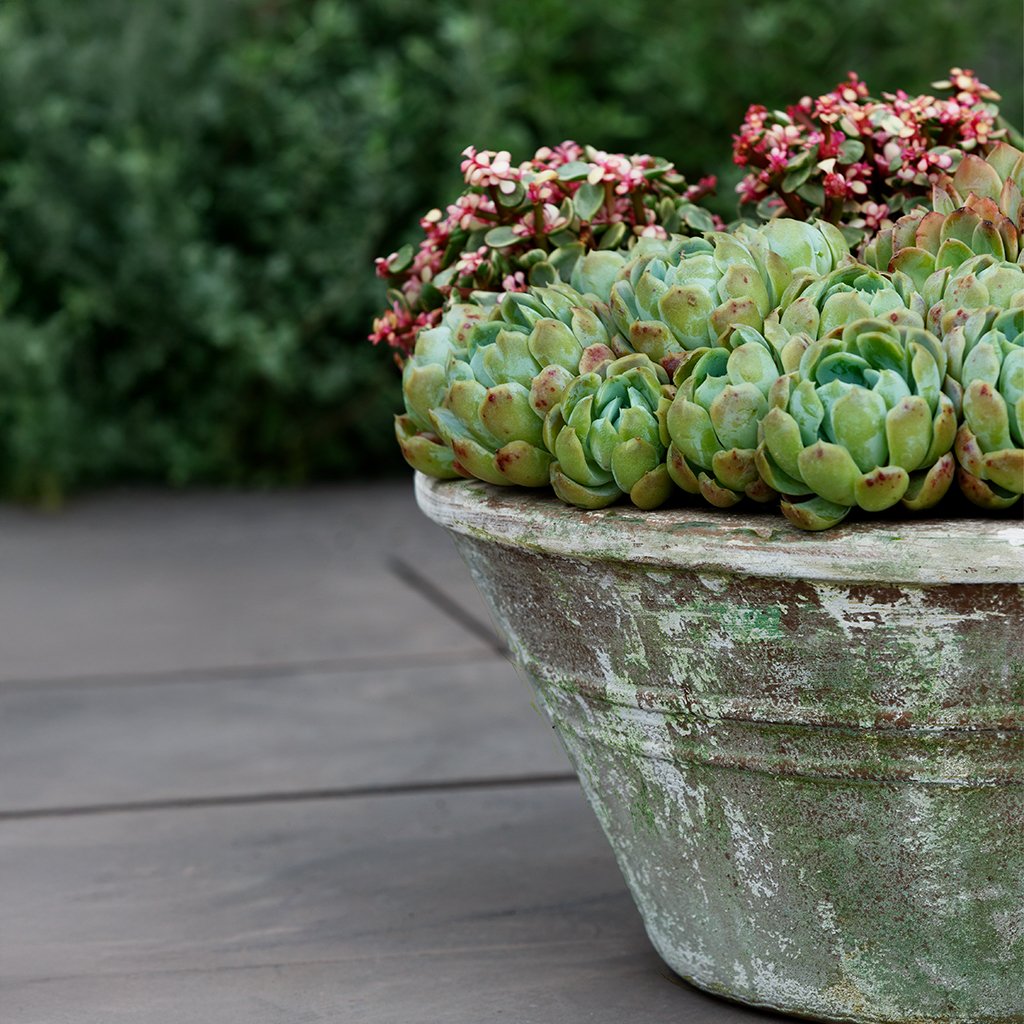Venise Planter || Murano Fresco