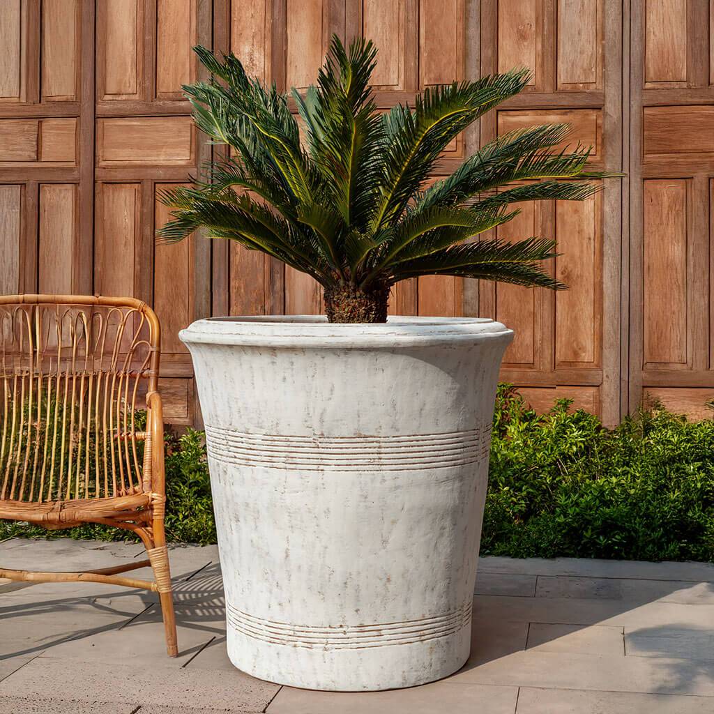 Las Palmeras Planter || Whitewash