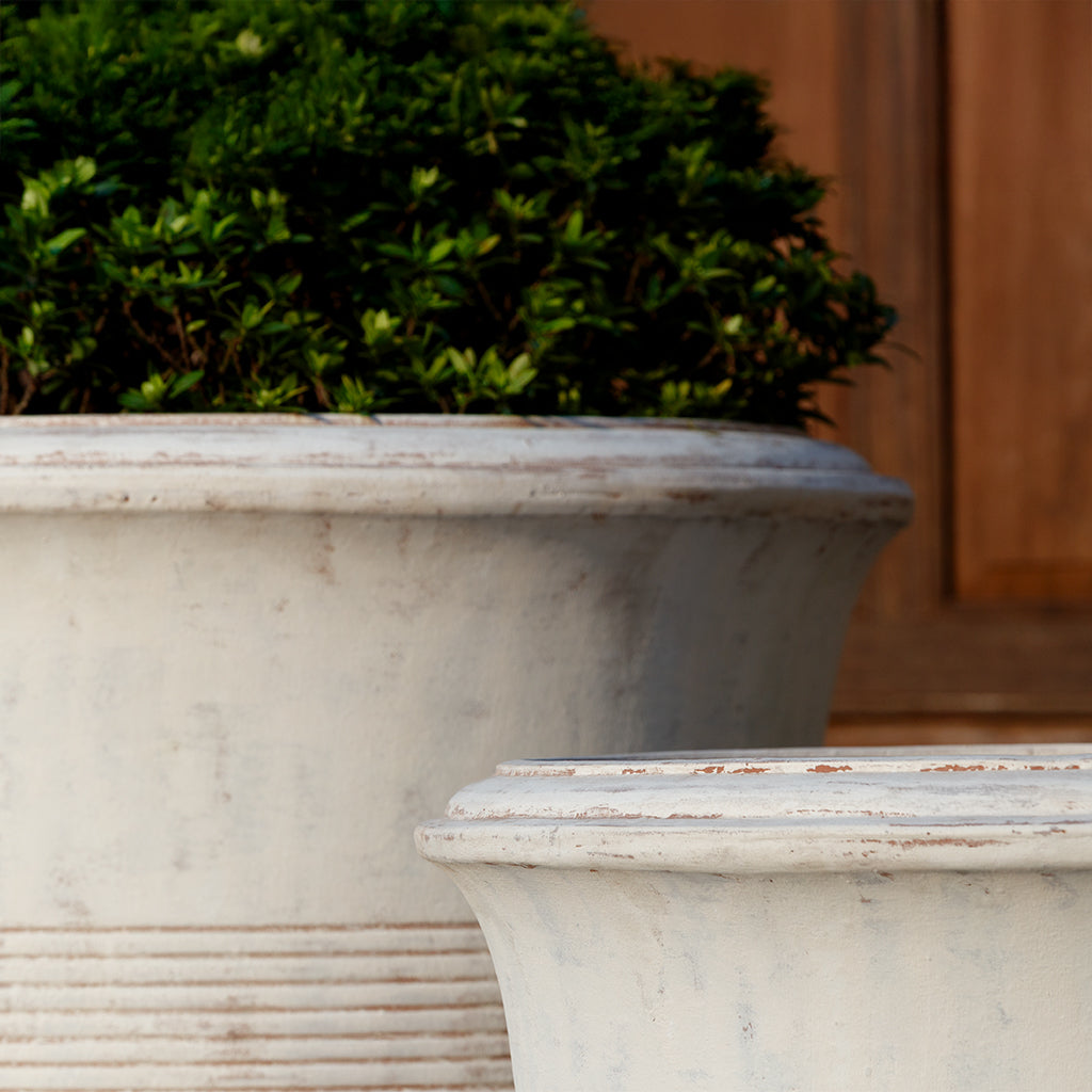 Las Palmeras Planter || Whitewash