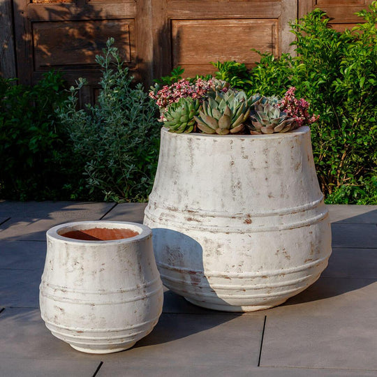 Citron Planter || Whitewash