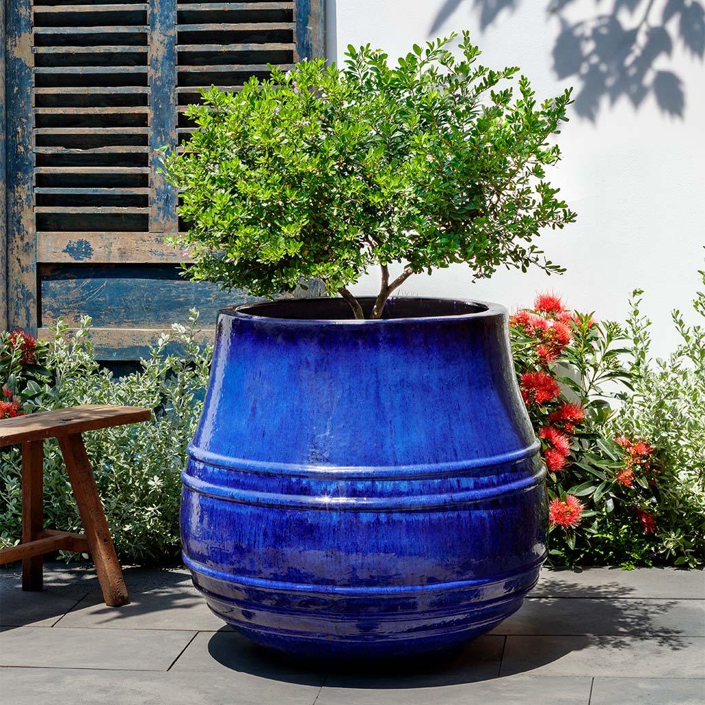 Citron Planter || Riviera Blue