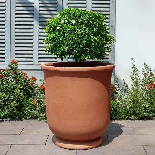 St. Germain Planter || Terra Cotta