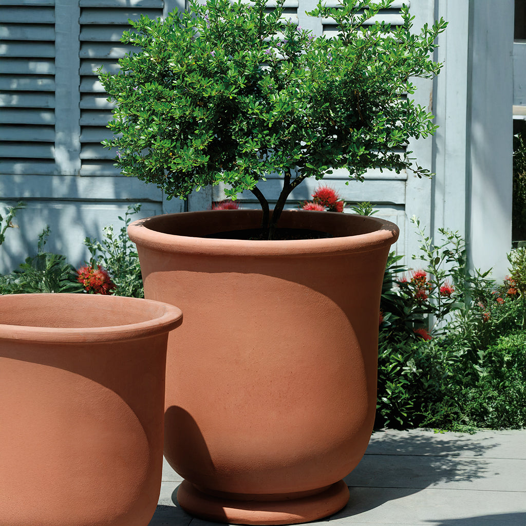 St. Germain Planter || Terra Cotta