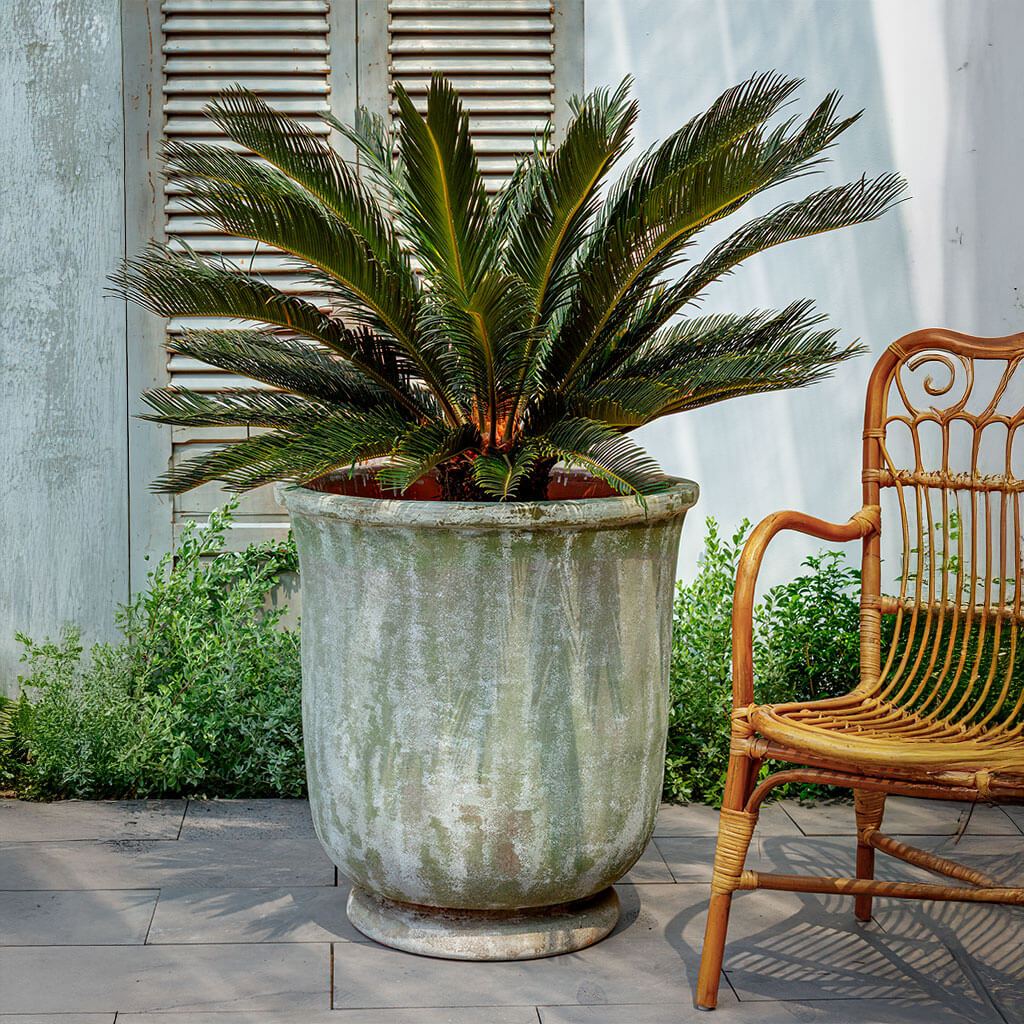 St. Germain Planter || Murano Fresco