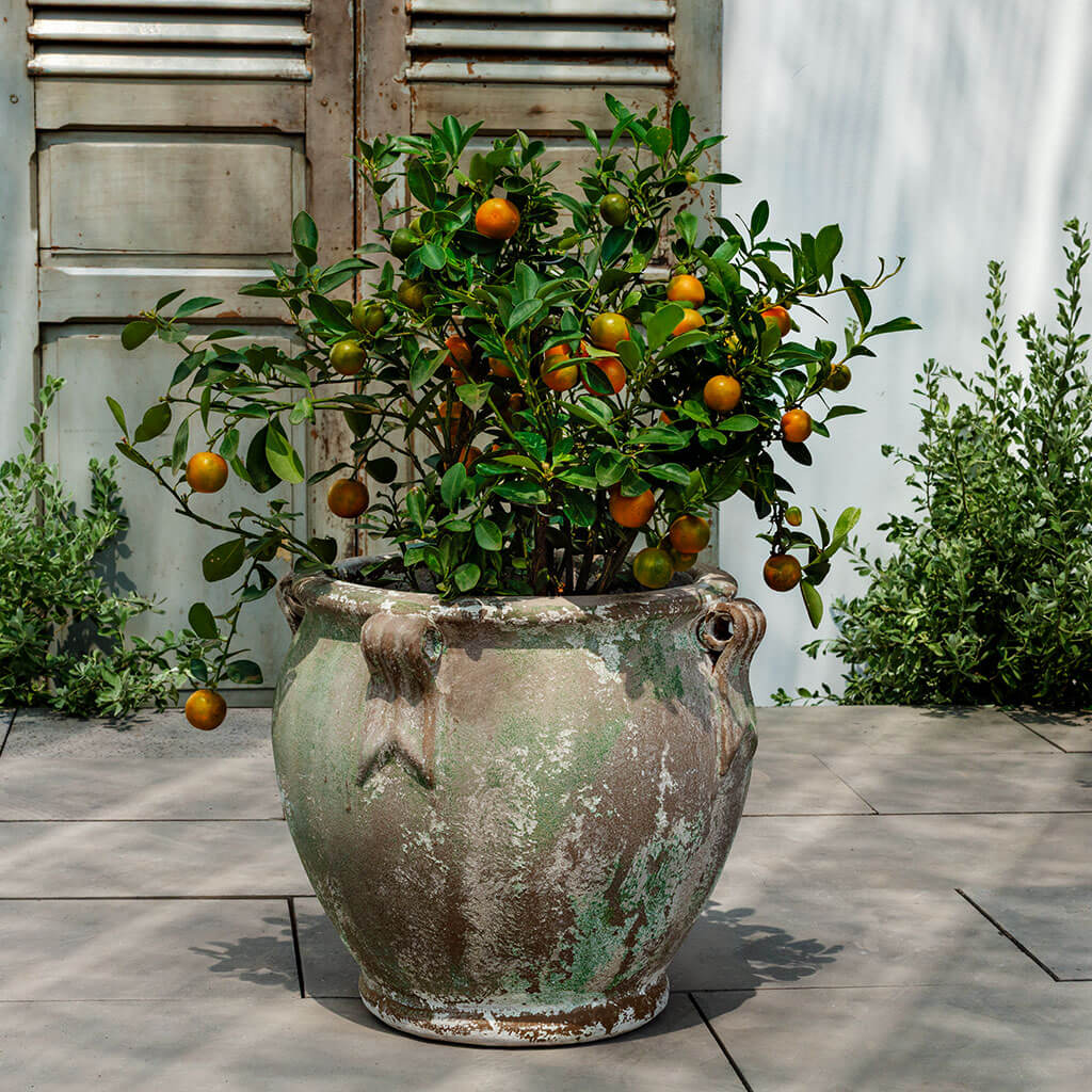 Round Handle Planter || Murano Fresco