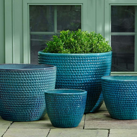 Coin Pot || Aqua