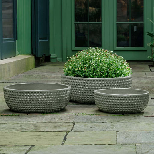 Coin Bowl || Pewter Green