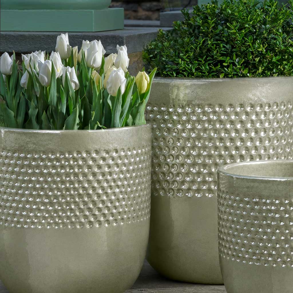 Banded Coin Pot || Crystal Green