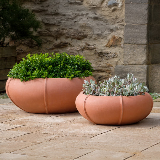 Rib Vault, Low || Terra Rosa