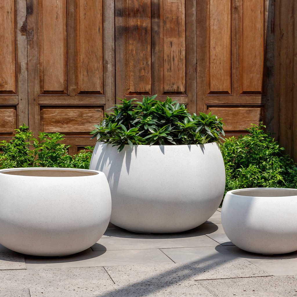 Norfolk Planter