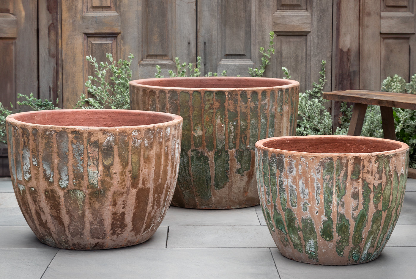 Campane Per Piantine Haxnicks - Confezione Da 3, Trasparenti, Per Orto E Giardino - Foto 12