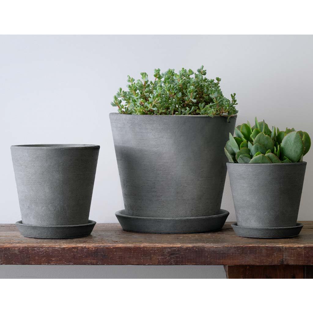 Essential Planter
