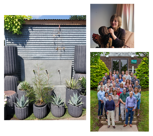 A Retailer shopcampania