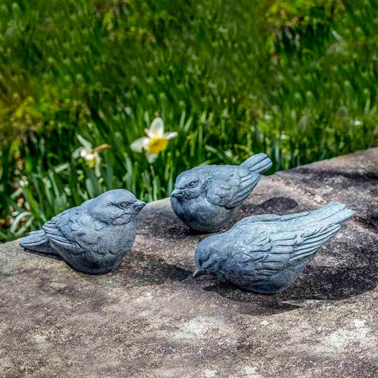 Trio d'Oiseaux