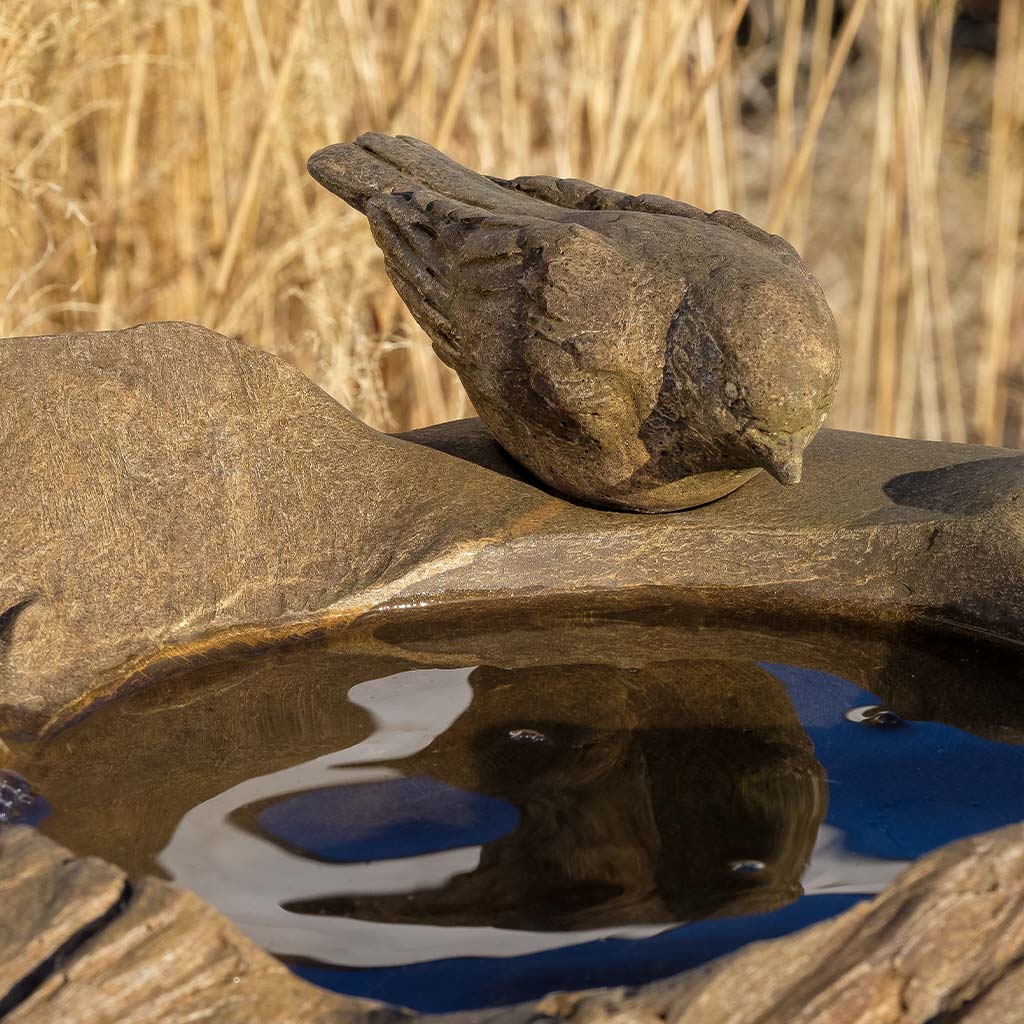 Driftwood Perch
