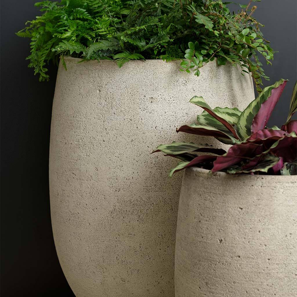 Bebel Planter
