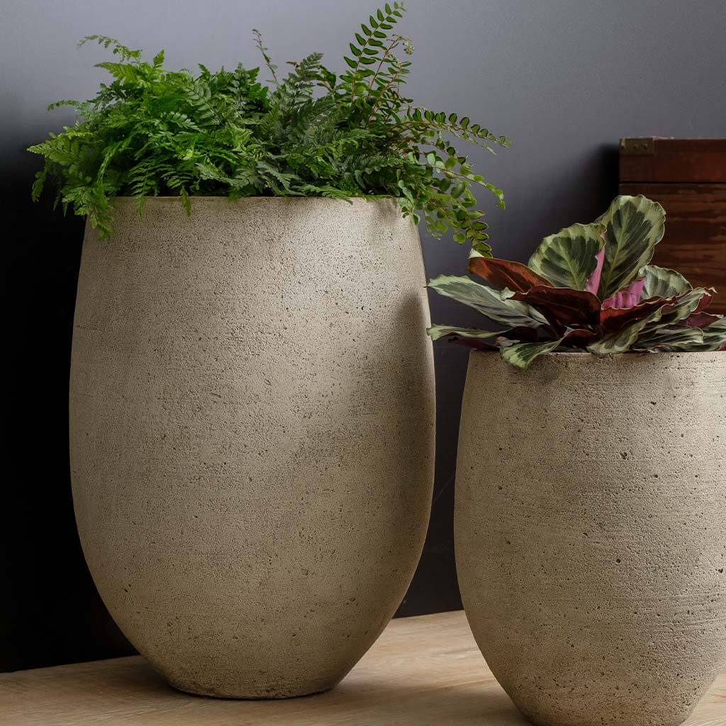 Bebel Planter