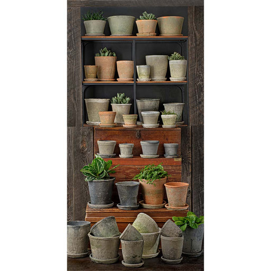 Mixed Farmer's Pot Assortment