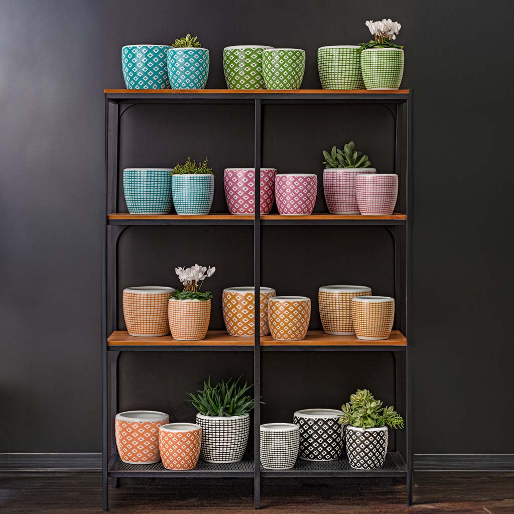 Parquet & Tattersall Planter Brights Collection || Mixed