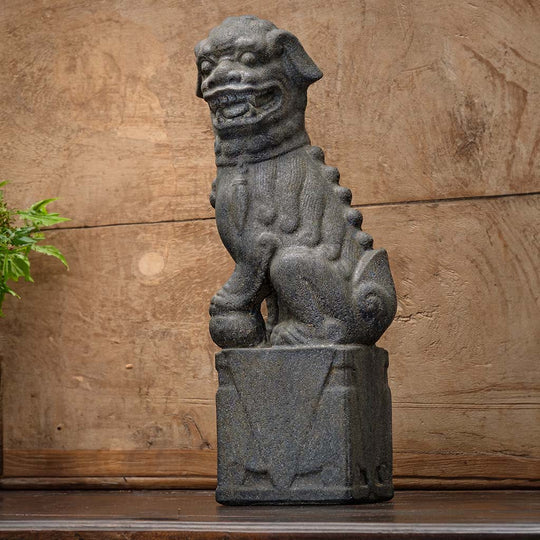Nara Foo Dogs - Right Female