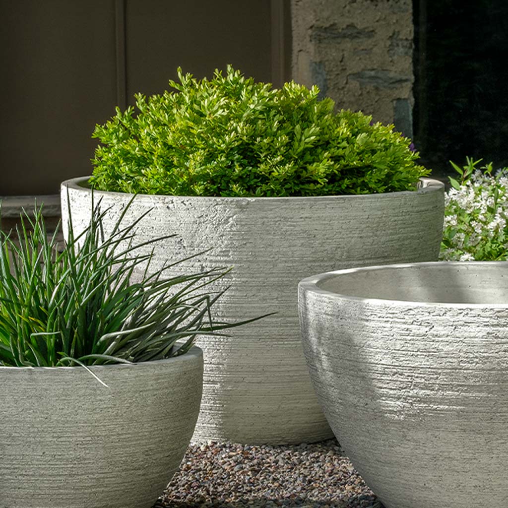 Nori Planter