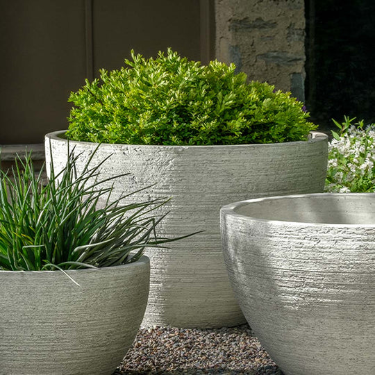 Nori Planter
