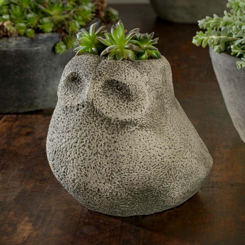 Stone Owl Planter