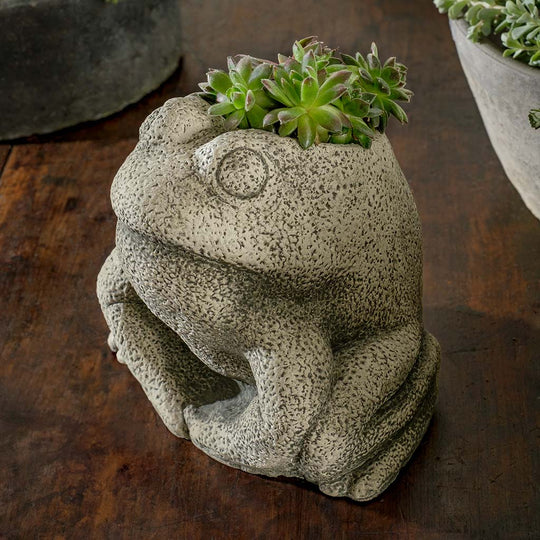 Stone Frog Planter