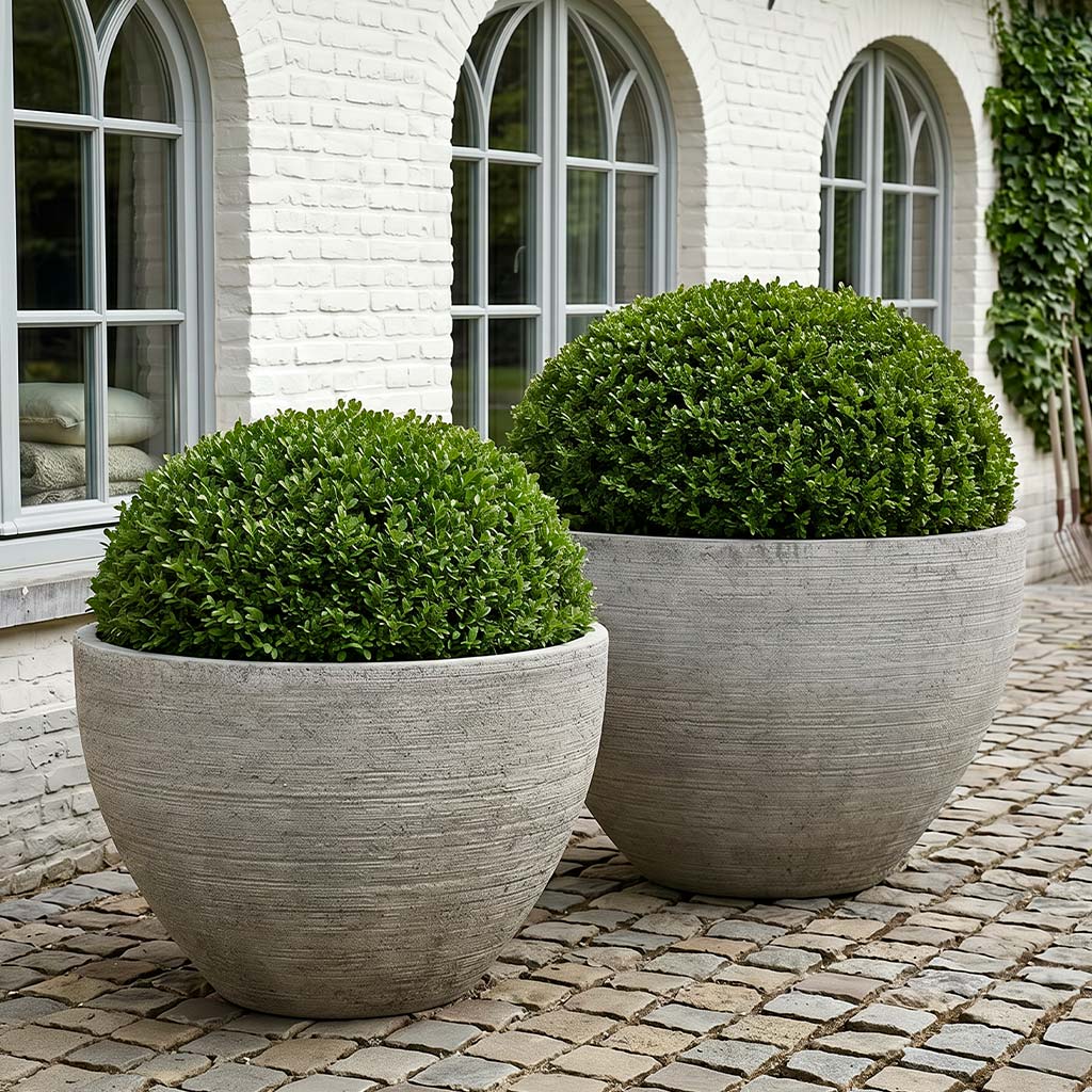 Nori Planter
