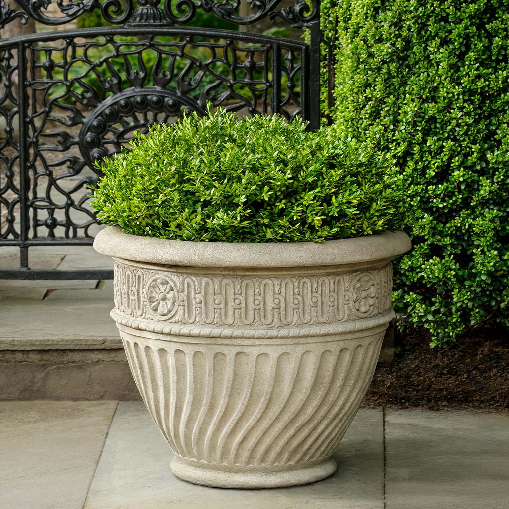 Trumbauer Planter