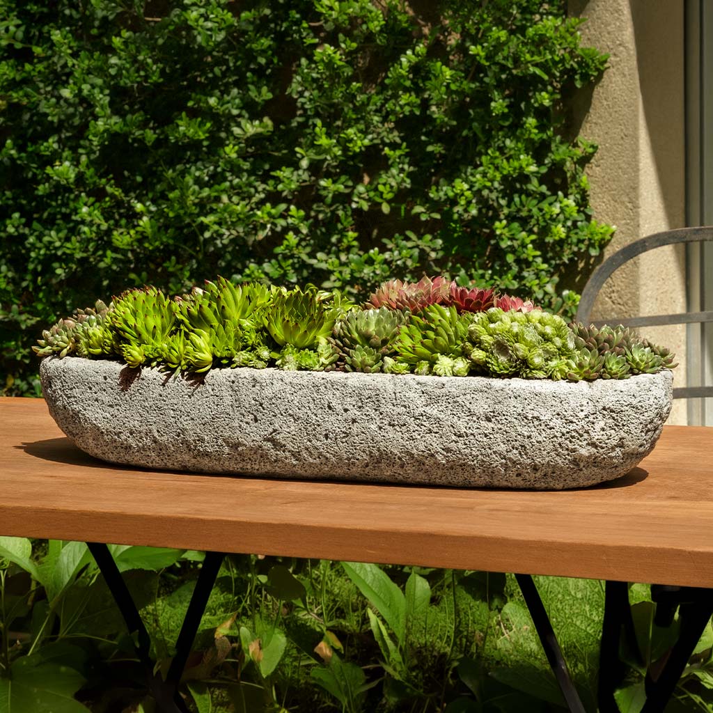 Molcajete Planter