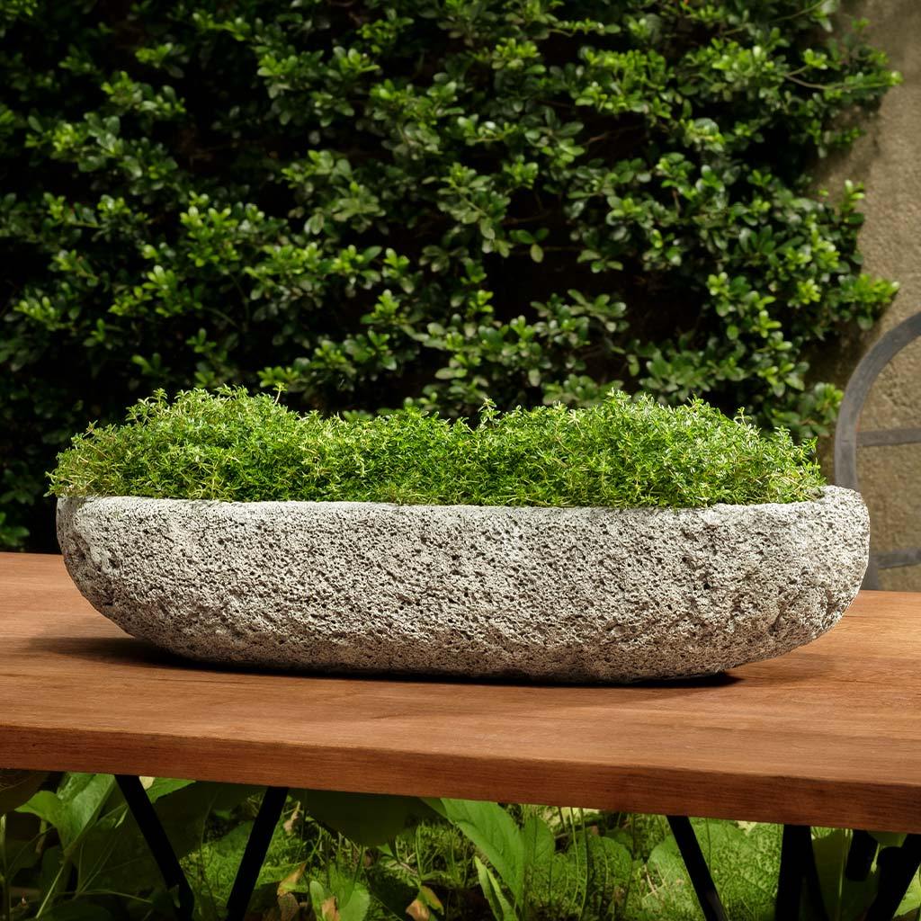 Molcajete Planter
