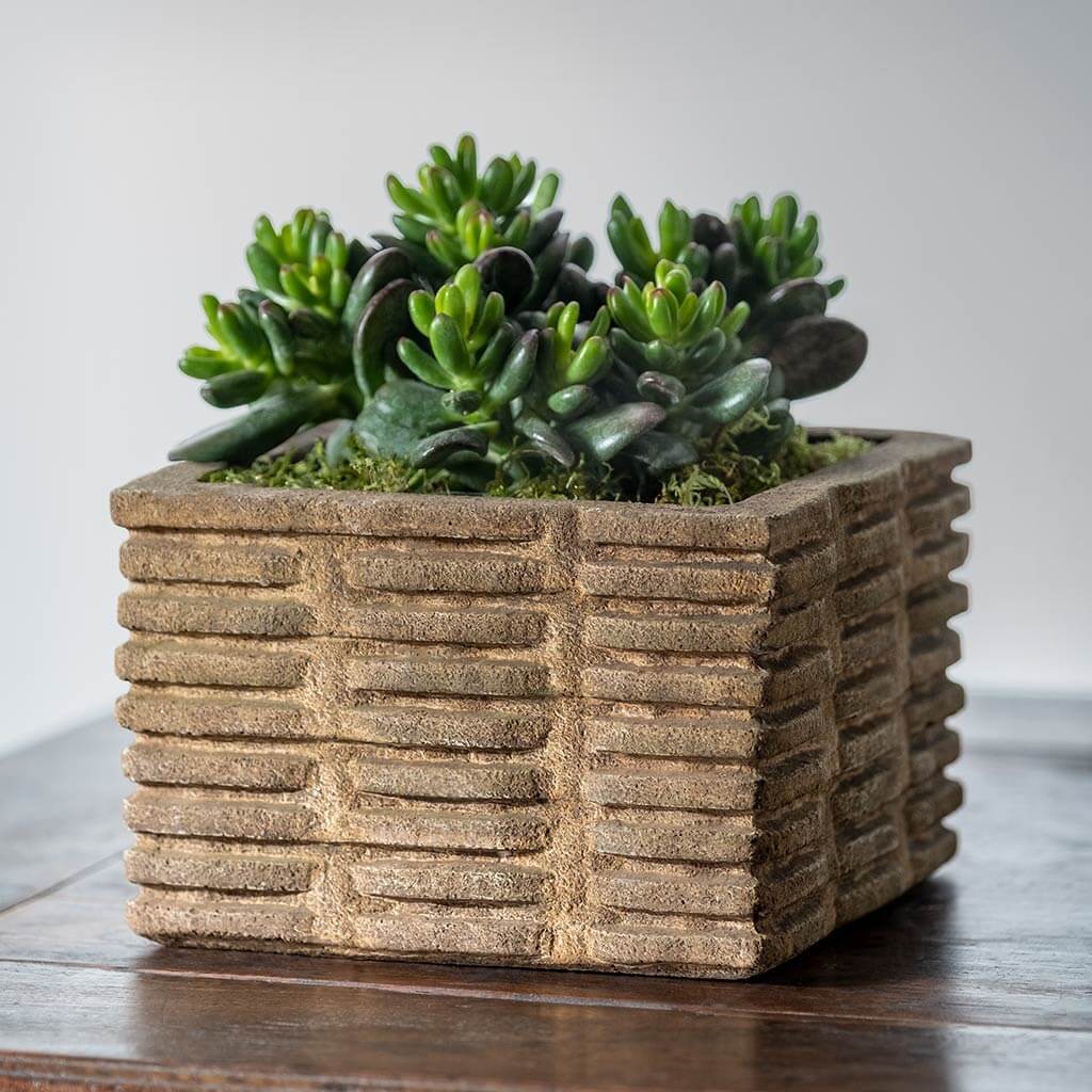 Weft Planter
