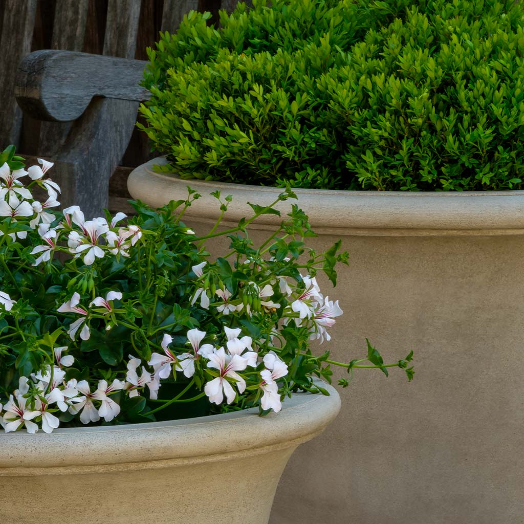 Sagamore Planter