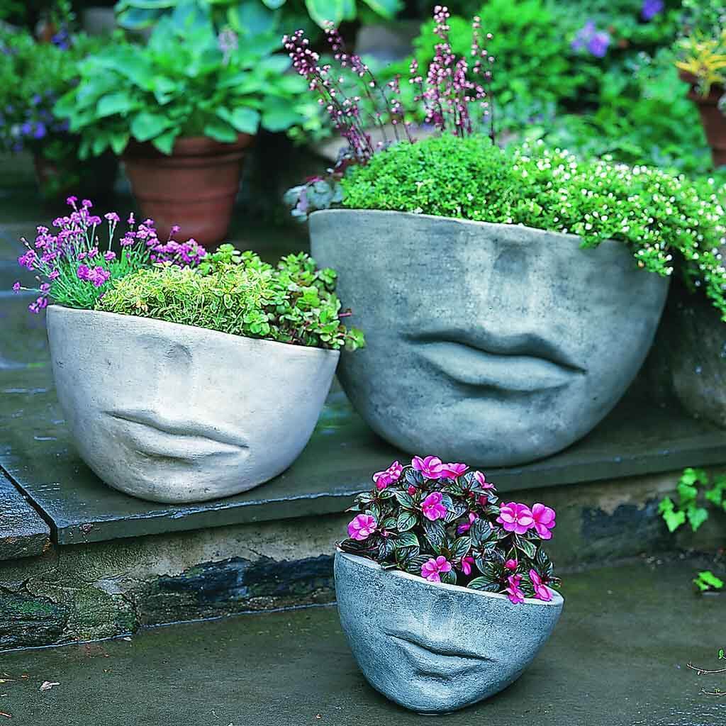 Faccia Planter - Large