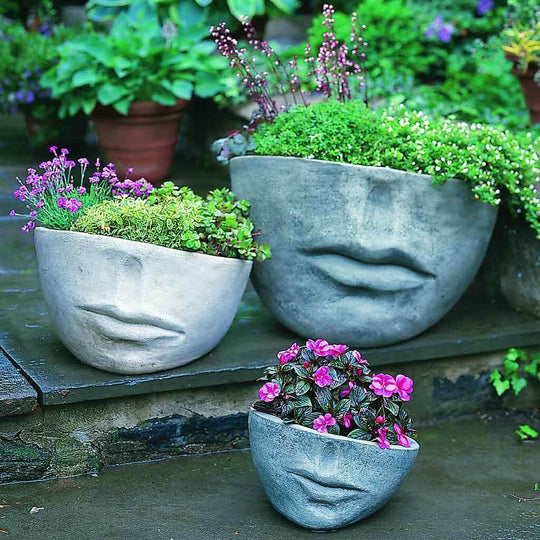 Faccia Planter