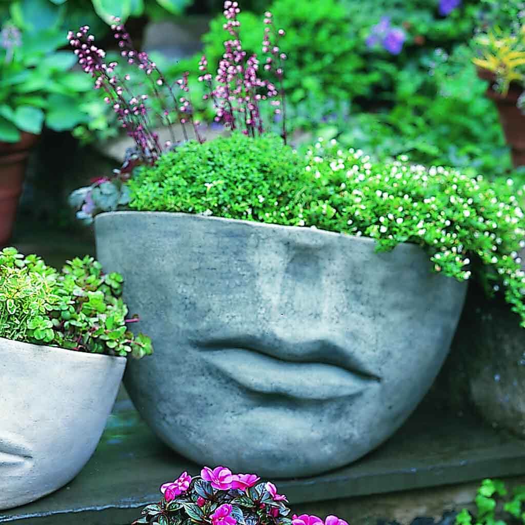 Faccia Planter