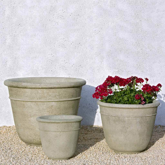 Carema Planter