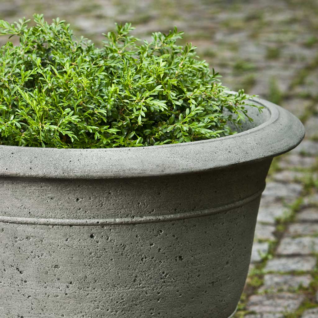 Padova Planter