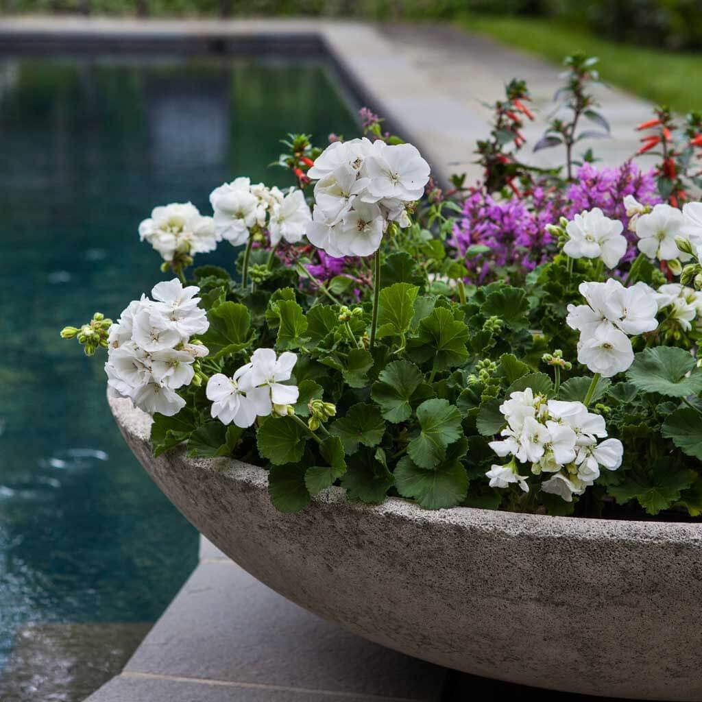 Textured Zen Bowl