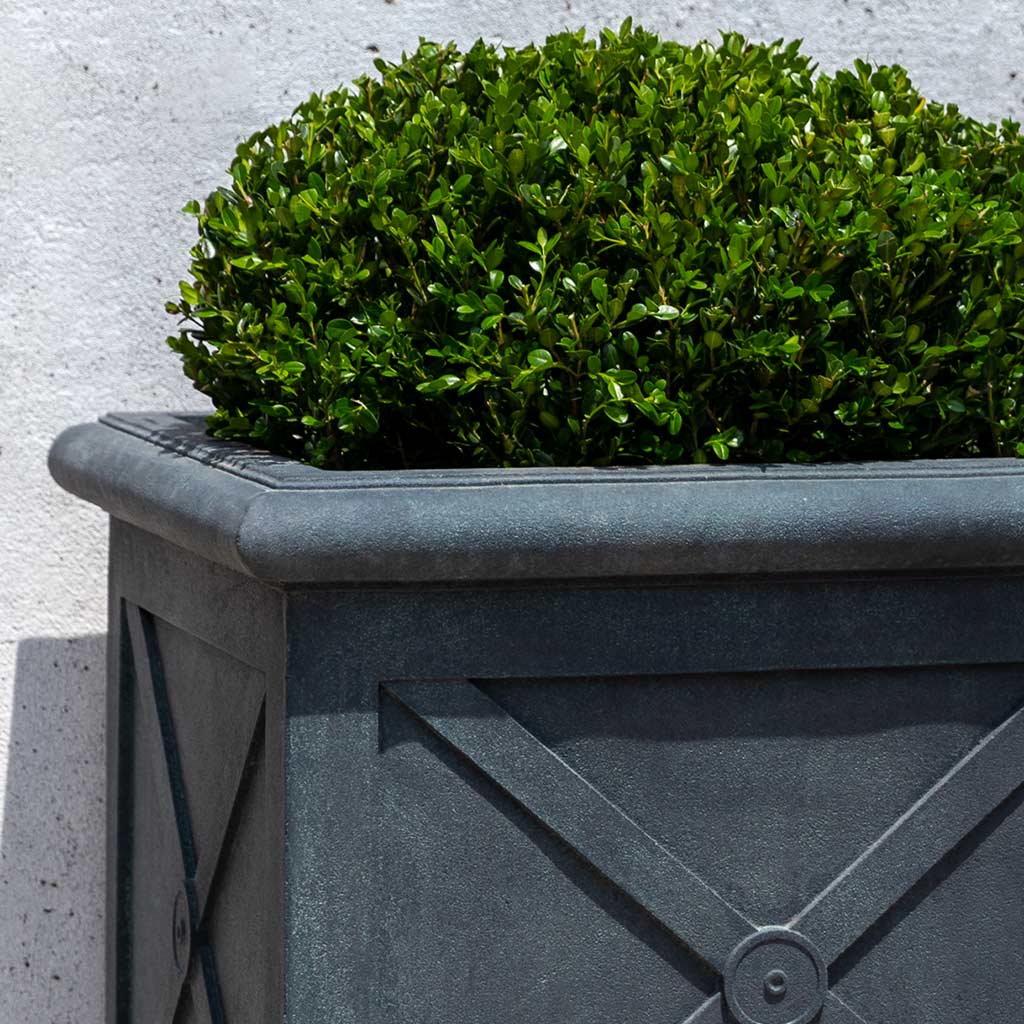Montparnasse Planter