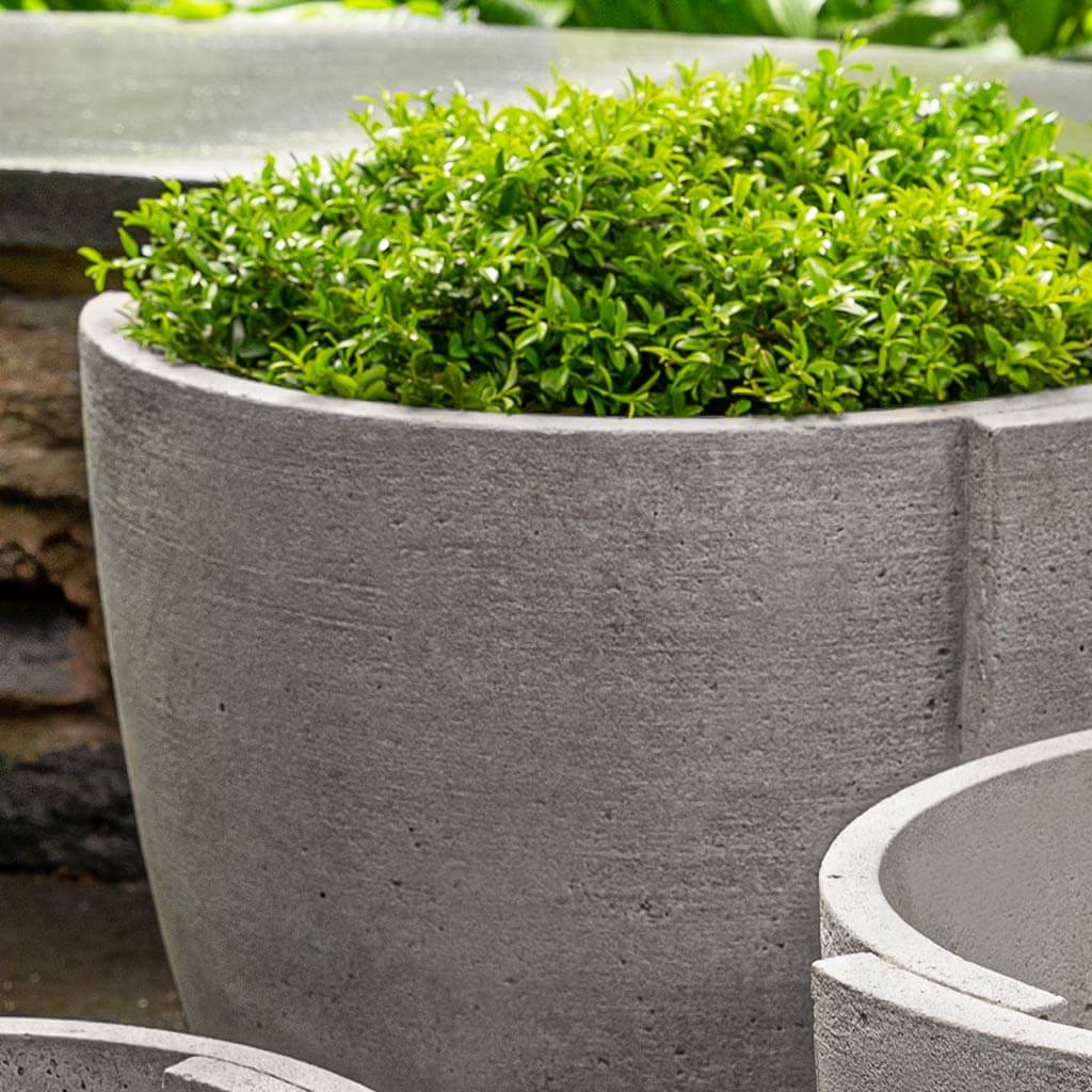 Concept Planter