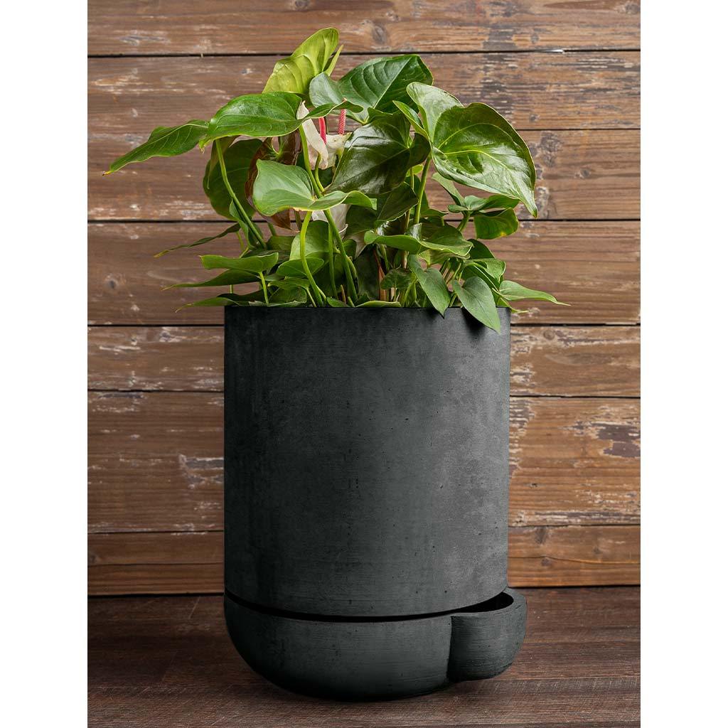 The Simple Pot | shop-campania