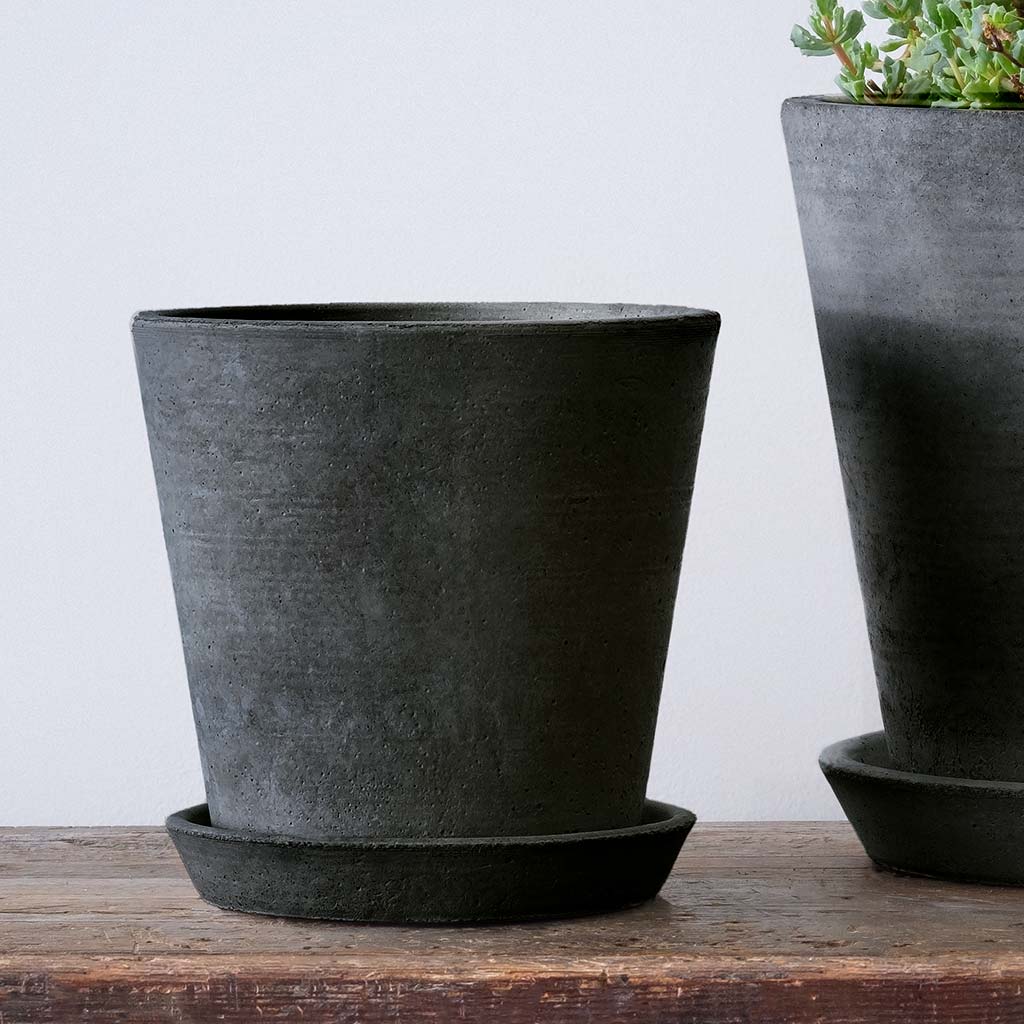 Essential Planter