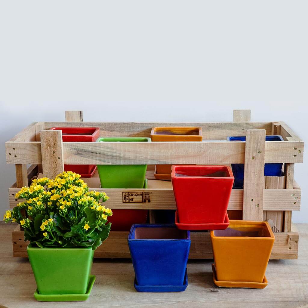 Garden Terrace Large Brights Crate || Assorted Glaze
