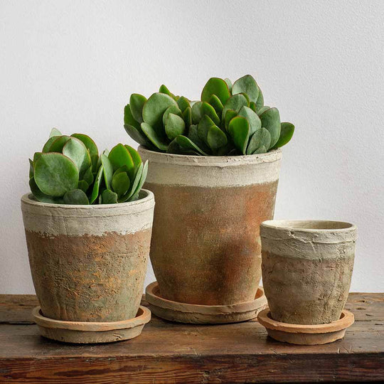 Farmer's Pot Saucers || Cotswold White