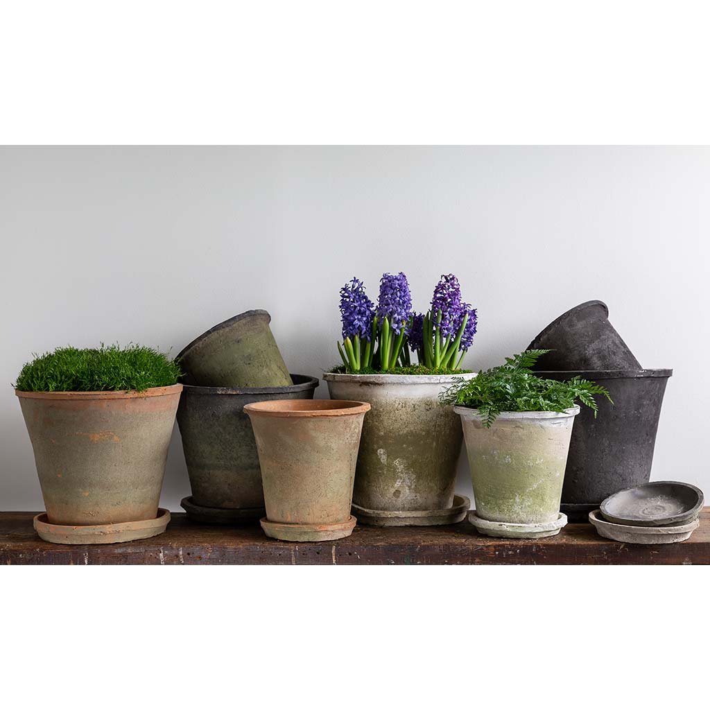 Large Tapered Farmer's Pot || Mixed
