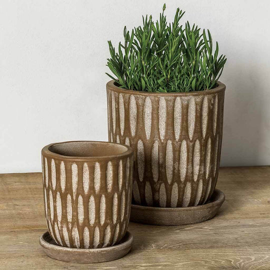 Parabola Planter || Coffee