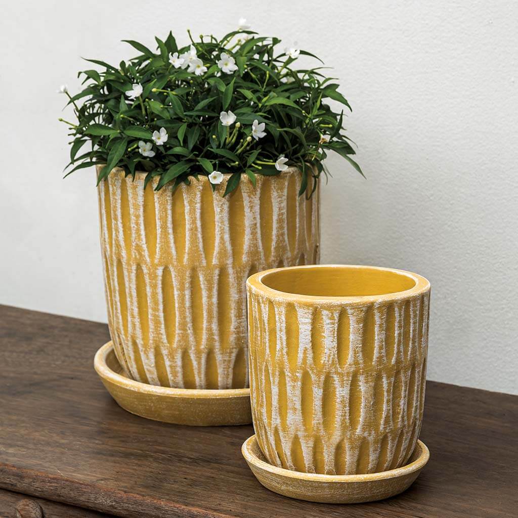 Parabola Planter || Etched Yellow