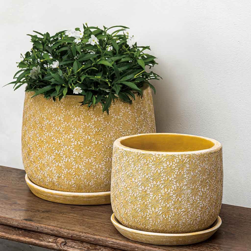 Marguerite Large Round Planter || Etched Yellow